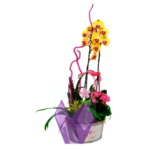 Composición de orquídea amarilla
