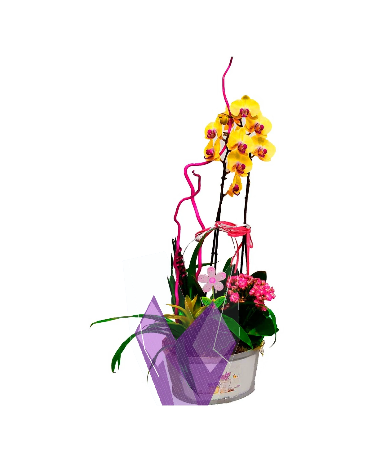 Composición de orquídea amarilla