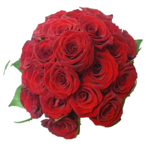 Ramo de novia · Rosas rojas · modelo 24